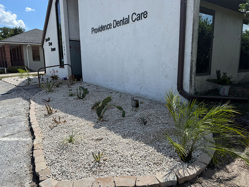Providence Dental | Invisalign reg , Dental Fillings and Dentures